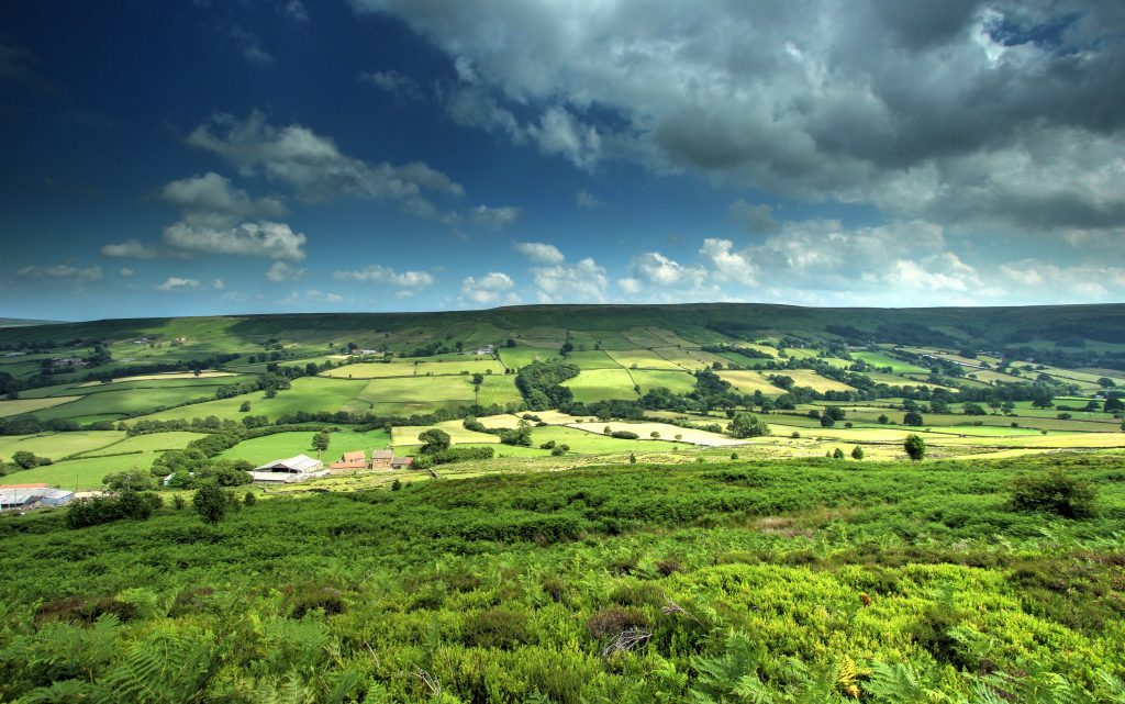 North Yorkshire Moors - Westerdale near Castleton