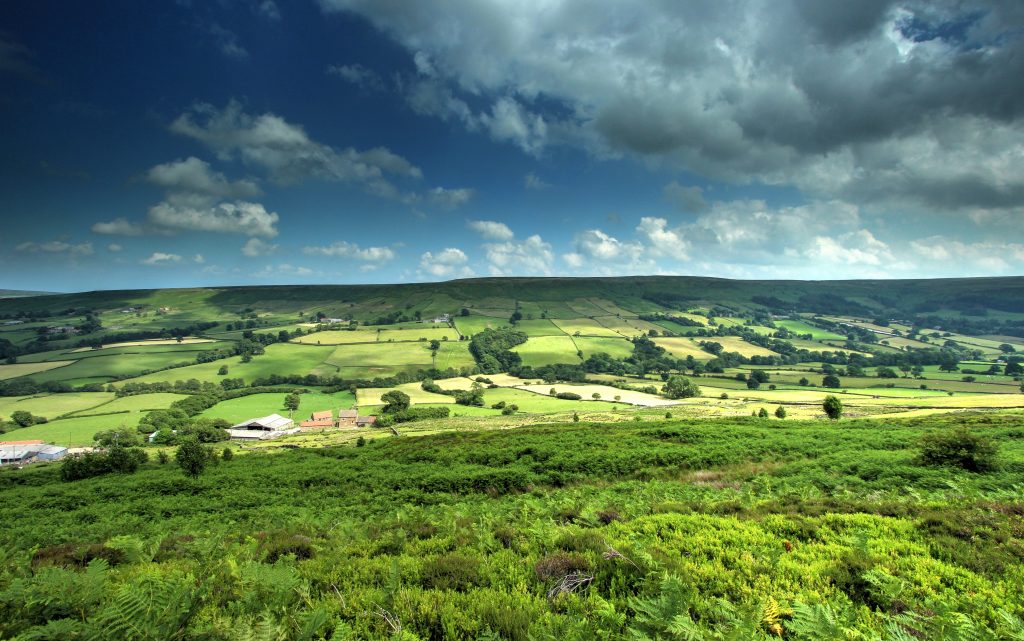 North Yorkshire Moors Northern Landscapes by Steven Iceton