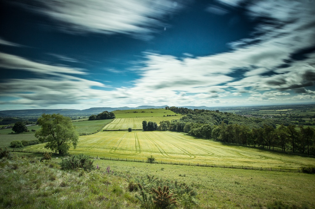 Aireyholme Farm Fields of Barley and the ancient forest at Newton Under Roseberry.