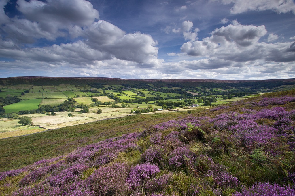 The view of Danby Dale from the Castleton to Hutton-le-Hole road in the North York Moors.