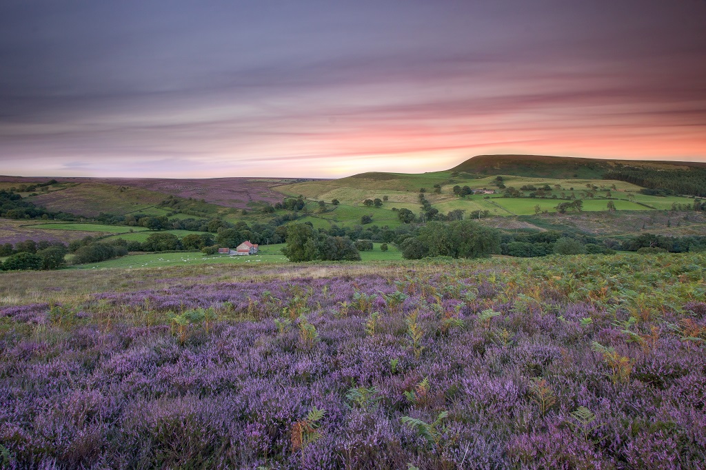 Hawnby Hill Sunset