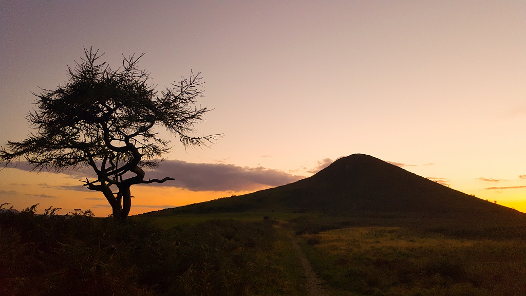 Heading home - The Lone Tree at Roseberry Topping captured on Samsung S6