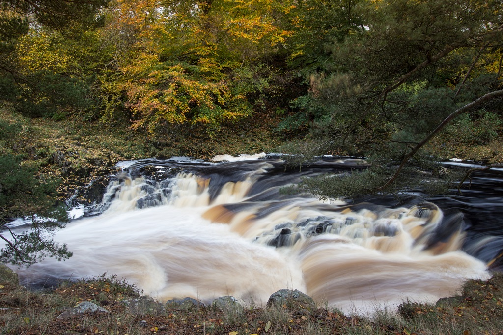 Downstream from Low Force, Teesdale