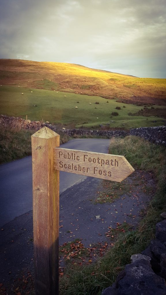 Scaleber Force Signpost