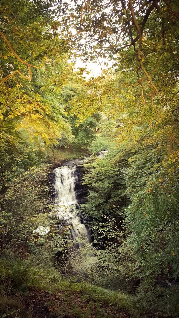 Scaleber Foss First Glimpse