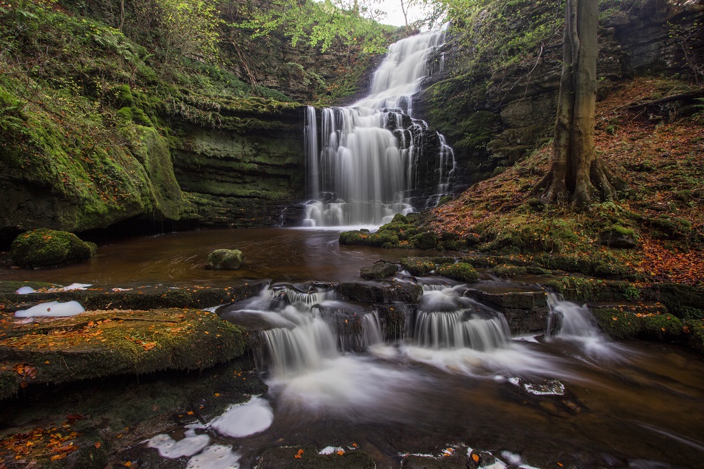 Autumn at Scaleber Force, Yorkshire Dales