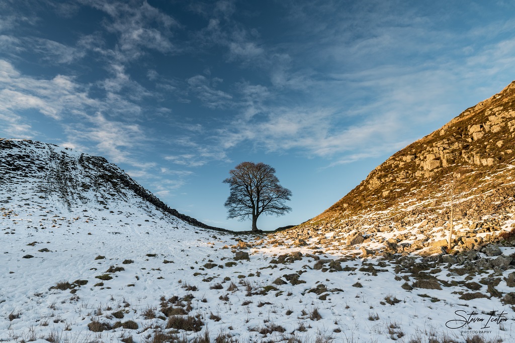 Sycamore Gap Winter, Northumberland
